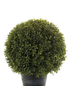 Hochwertige Kunstpflanze | Künstlicher Buchsbaum - Ron | 25 cm von 🌱aplanta