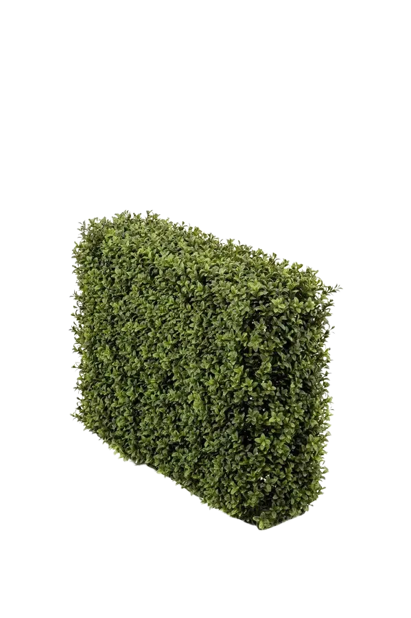 Künstliche Buchsbaumhecke - Jannis