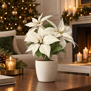 Künstliche Poinsettia - Augustus | 32 cm