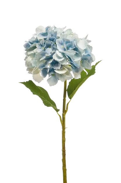 Künstliche Hortensie - Dilli, 52 cm, Kunstpflanze von aplanta, Real Touch, Steckpflanze, in Natur, für drinnen