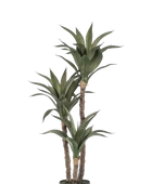 Künstliche Agave - Pepe auf transparentem Hintergrund mit echt wirkenden Kunstblättern in natürlicher Anordnung. Künstliche Agave - Pepe hat die Farbe Natur und ist 100 cm hoch. | aplanta Kunstpflanzen