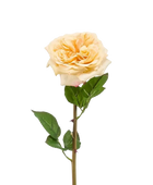 Hochwertige Hortensie künstlich auf transparentem Hintergrund mit echt wirkenden Kunstblättern in natürlicher Anordnung. Künstliche Rose - Minerva hat die Farbe Gelb und ist 60 cm hoch. | aplanta Kunstpflanzen