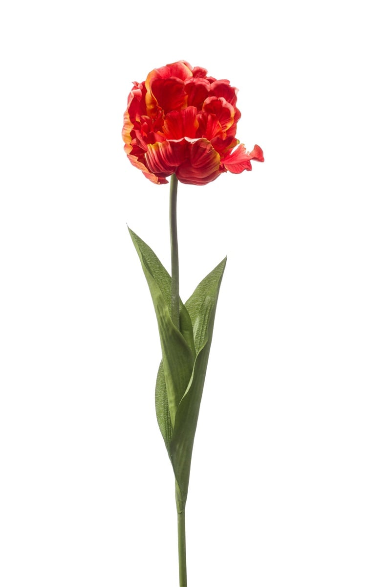 Künstliche Tulpe rot, 66 cm, von aplanta