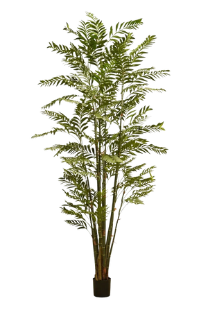 Künstliche Bambuspalme - Kora | 300 cm