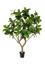 Künstlicher Gummibaum - Temptus, 240 cm, Kunstbaum von aplanta, in Grün, für drinnen