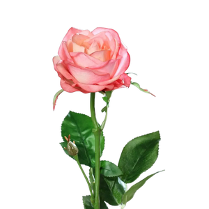Künstliche Rosen – Kunstrosen günstig online kaufen