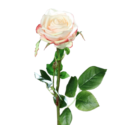 Künstliche Rose - Pam, 66 cm, Kunstblume von aplanta, für drinnen