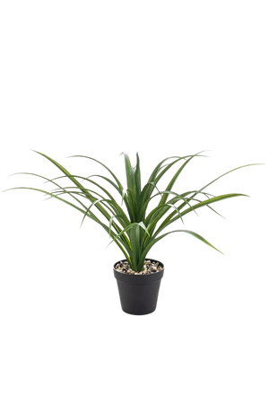 Künstliche Yucca - Basti | 35 cm