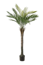 Künstliche Palme - Penny, 150 cm, Kunstbaum von aplanta, UV-beständig, in Grün, für draußen