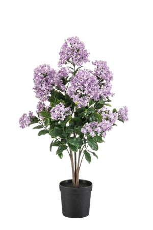 Künstliche Palme - Pina | 65 cm