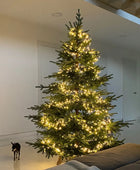 Künstlicher Weihnachtsbaum - Balthasar | 210 cm