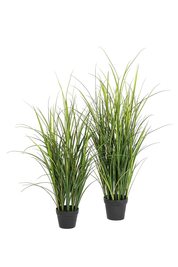 Künstliches Gras - Otto