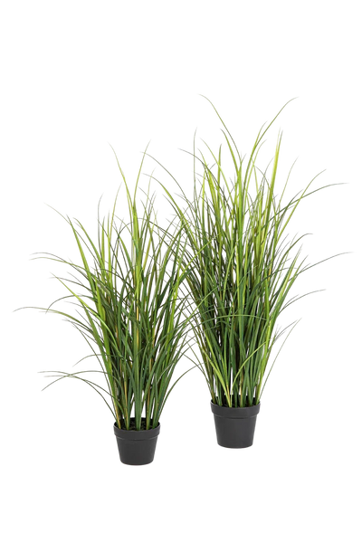 Künstliches Gras - Otto