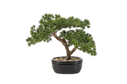 Künstlicher Bonsai - Nina, 26 cm, Kunstbaum von aplanta, in Grün, für drinnen
