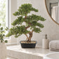 Künstlicher Bonsai - Rupert | 68 cm