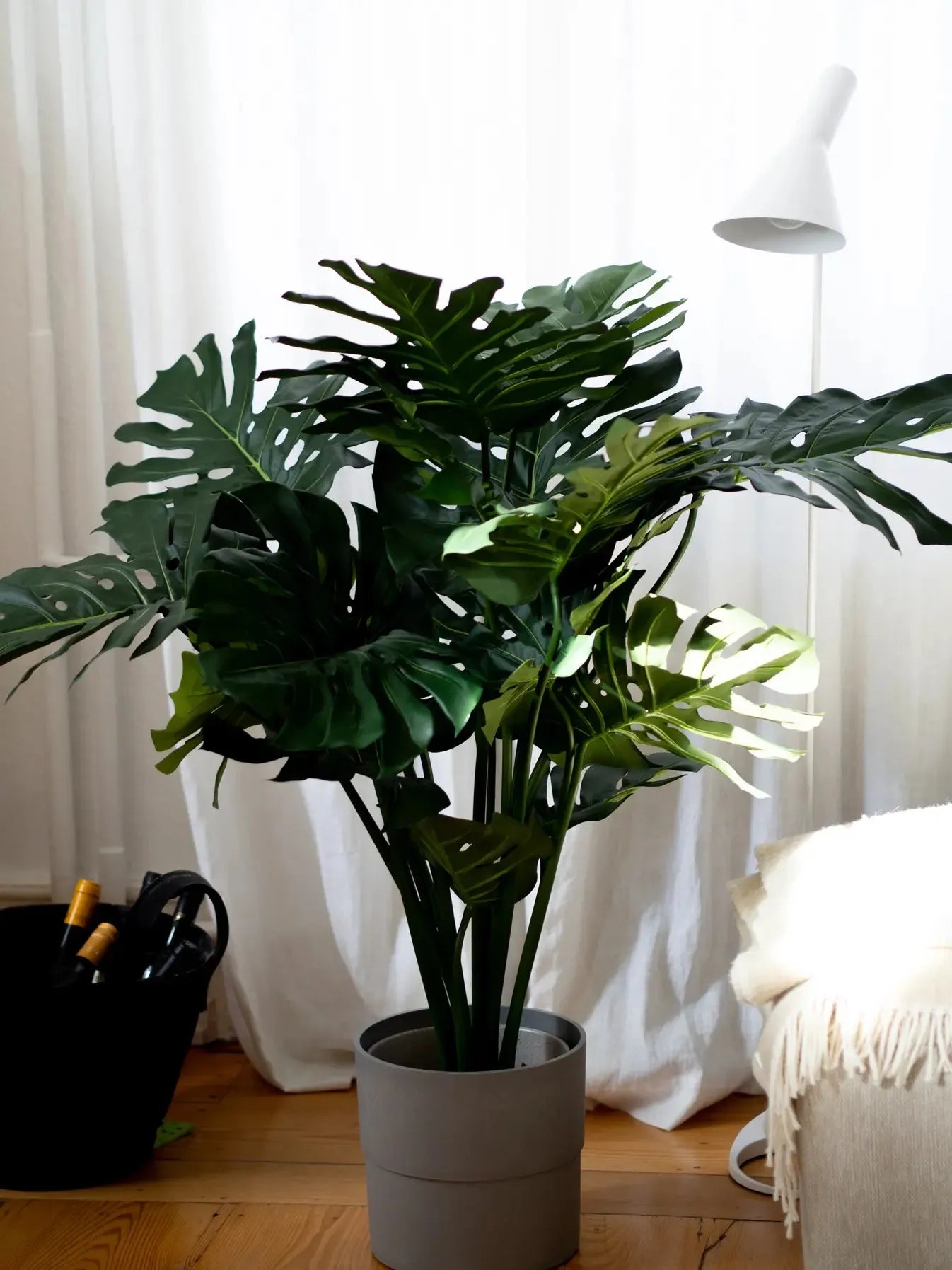 Künstliche Monstera - Thilo | 98 cm