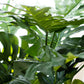 Künstliche Monstera - Thilo | 98 cm