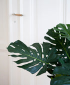 Künstlicher Philodendron - Fatima | 100 cm