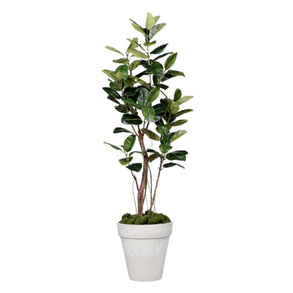 Künstlicher Gummibaum - Mulan | 220 cm