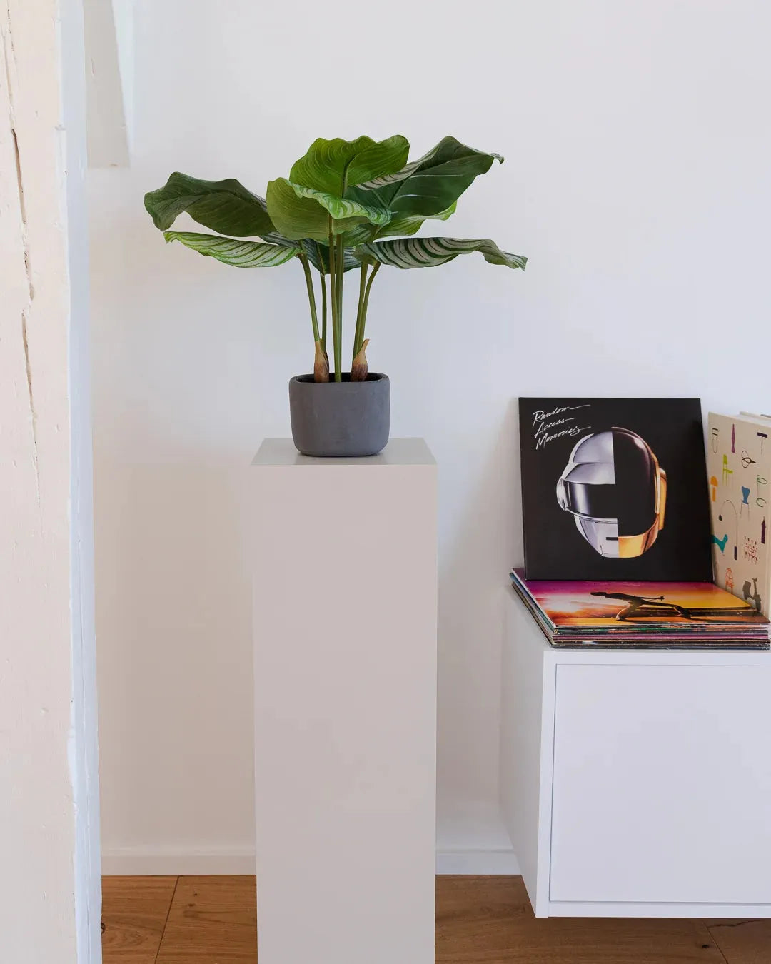 Künstliche Calathea - Mathilda, 50 cm, Kunstpflanze von aplanta, inkl. Dekotopf, in Natur, für drinnen