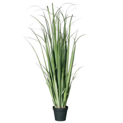 Hochwertiges Kunstgras auf transparentem Hintergrund mit echt wirkenden Kunstblättern in natürlicher Anordnung. Künstliches Schilfgras im Topf - Vittoria hat die Farbe Natur und ist 180 cm hoch. | aplanta Kunstpflanzen