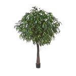 Künstlicher langblättriger Ficus - Johannes, 270 cm, Kunstbaum von aplanta, mit Echtholzstamm, im schwarzen Topf, in Natur
