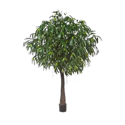 Künstlicher langblättriger Ficus - Johannes, 270 cm, Kunstbaum von aplanta, mit Echtholzstamm, im schwarzen Topf, in Natur