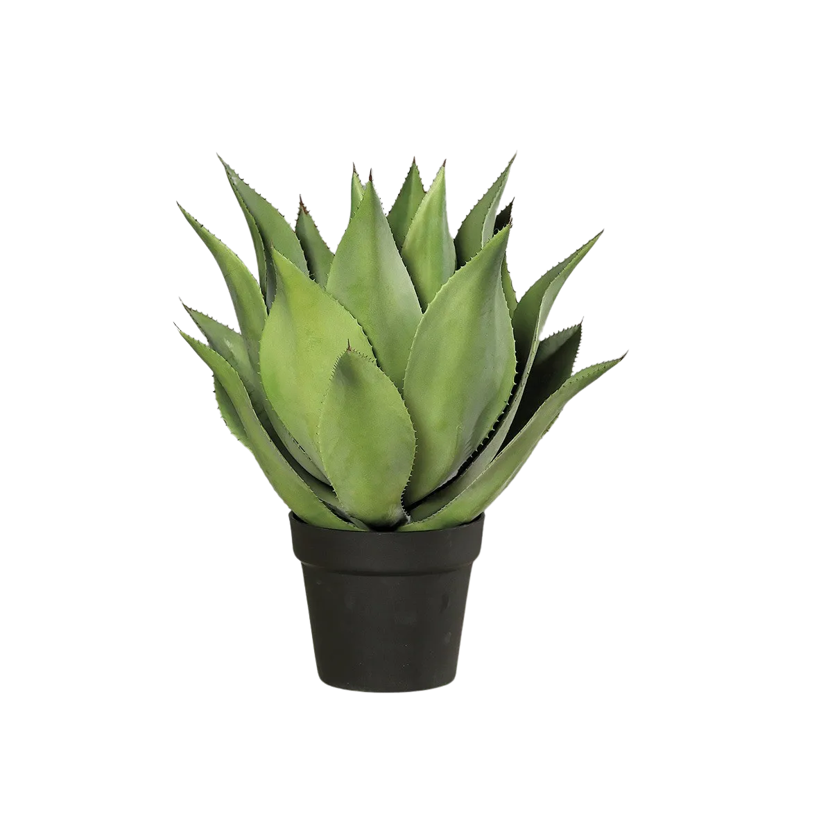 Künstliche Agave - Mustafa | 54 cm