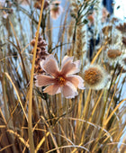 Künstliche Wiesenblumen - Ambre | 50 cm