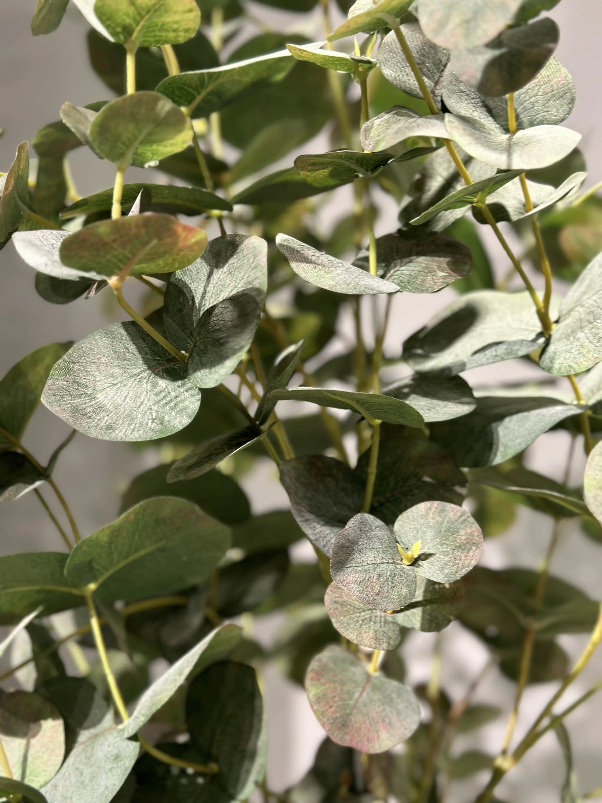 Künstlicher Eukalyptus - Ace | 60 cm - Kunstpflanzen von aplanta