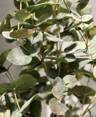 Künstlicher Eukalyptus - Ace | 60 cm - Kunstpflanzen von aplanta
