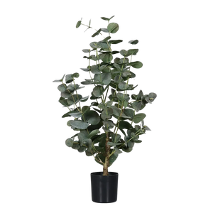 Künstlicher Eukalyptus - Ace | 60 cm