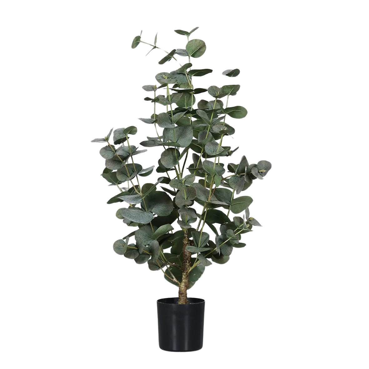 Künstlicher Eukalyptus - Ace | 60 cm