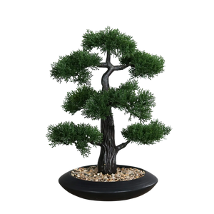 Künstlicher Zedern-Bonsai - Roy | 44 cm | in schwarzer Schale