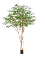 Künstlicher Curybaum - Sagur, 320 cm, Kunstbaum von aplanta, mit Echtholzstamm, in Grün, für drinnen