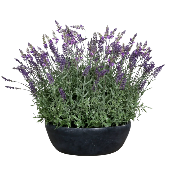 künstliche geranien im blumenkasten 6 Stück Künstliche Geranien UV-beständige Kunstblumen für Außenbereich –  kunstblumenshop