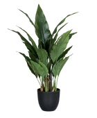 Künstliches Spathiphyllum - Abel | 55 cm