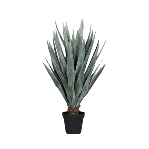 Künstliche Agave - Takehiro | 113 cm