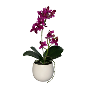 Künstliche Orchidee - Elric | 34 cm | im Keramiktopf