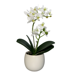 Künstliche Orchidee - Ishak | 30 cm | im Keramiktopf