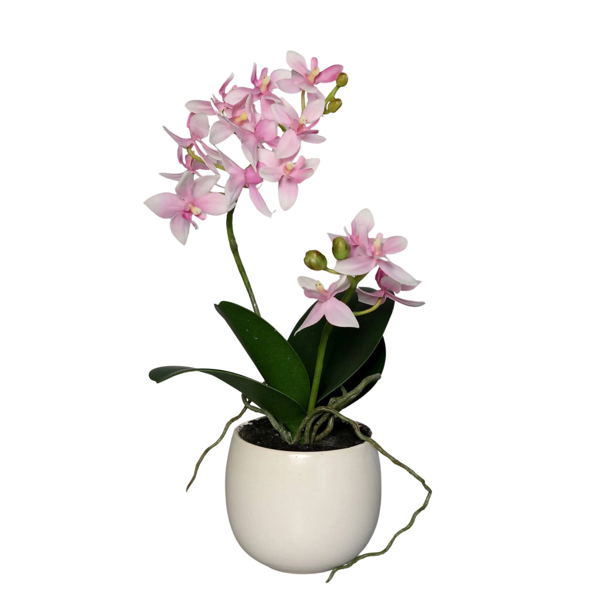 Künstliche Orchidee - Güney | 33 cm | im Keramiktopf