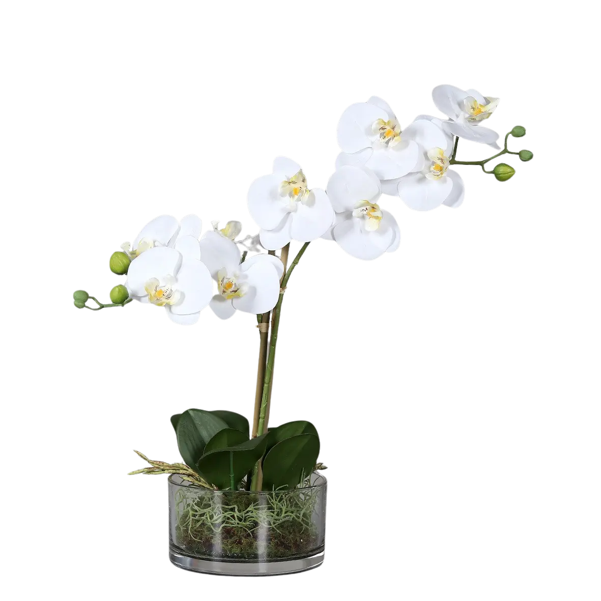 Künstliche Orchidee - Saitama | 40 cm | in Glasschale