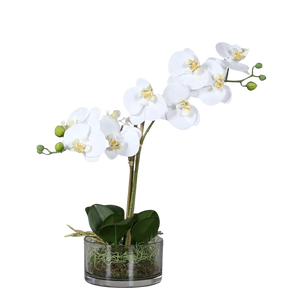 Künstliche Orchidee - Saitama | 40 cm | in Glasschale