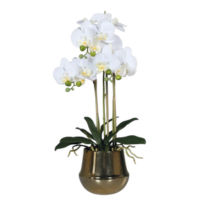 Künstliche Orchidee - Rin | 64 cm | im Goldtopf