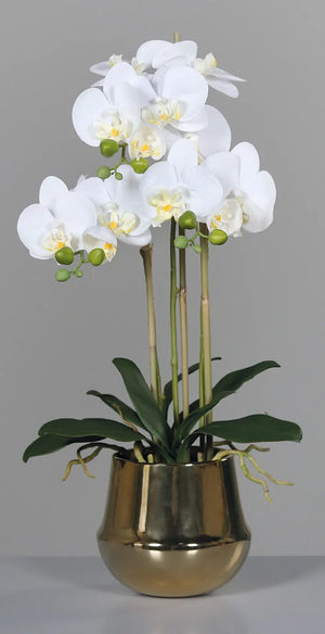 Künstliche Orchidee - Rin | 64 cm | im Goldtopf - Kunstpflanzen von aplanta
