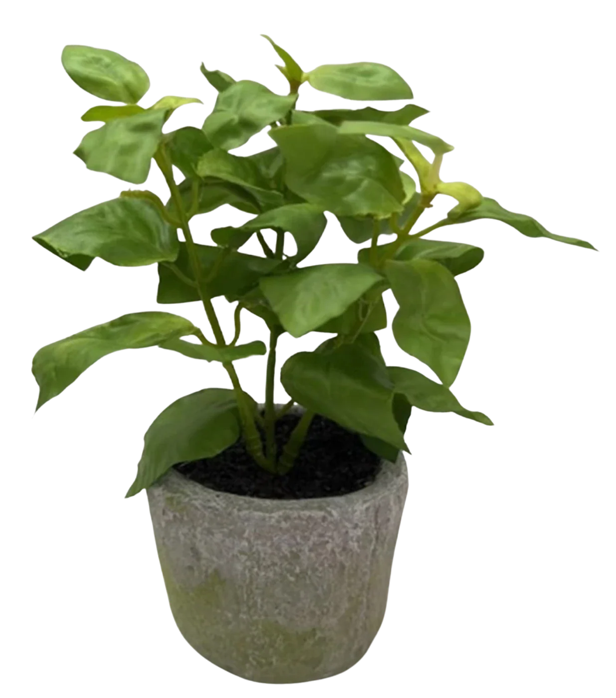 Künstliches Basilikum - Brusko | 26 cm