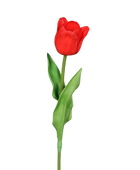 Künstliche Tulpe - Merry | 60 cm