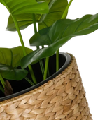 Pflanzkübel - Anesa |  60 cm hoch, Natur