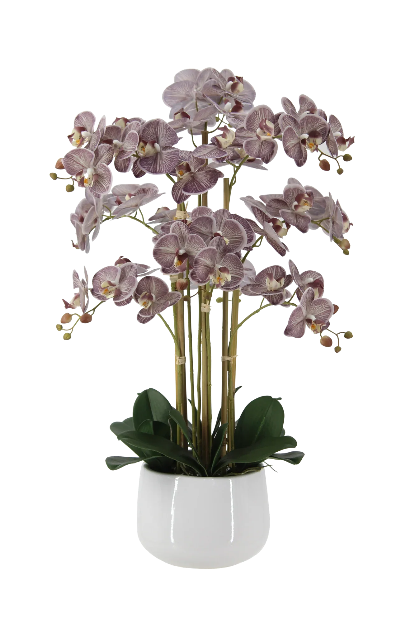 Künstliche Orchidee - Chen | 80 cm
