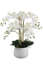 Künstliche Orchidee - Dan, 66 cm, Kunstblume von aplanta, inkl. Dekotopf, in Weiß, für drinnen